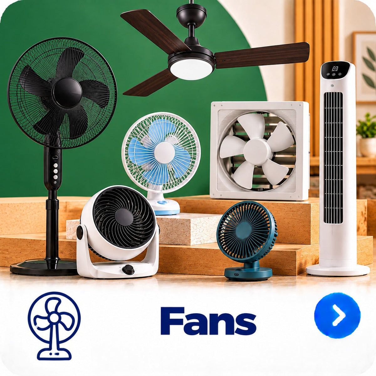 Fans